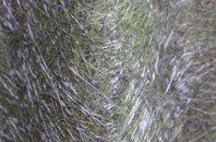 Undy fibreglass roof work